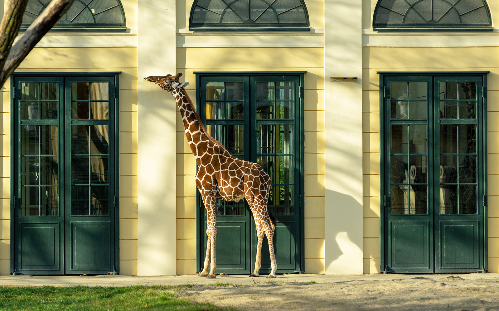 Wheelchair-friendly entrances to the Vienna Zoo