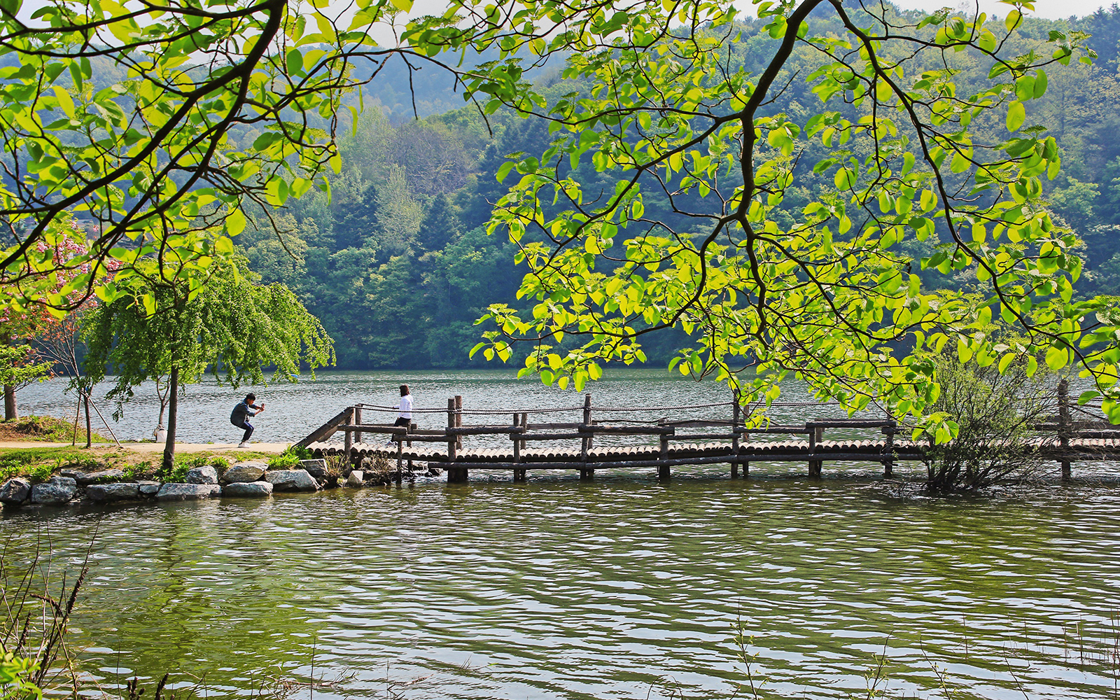 Tourist taking photo near waterbody on Nami Island bridge, South Korea.