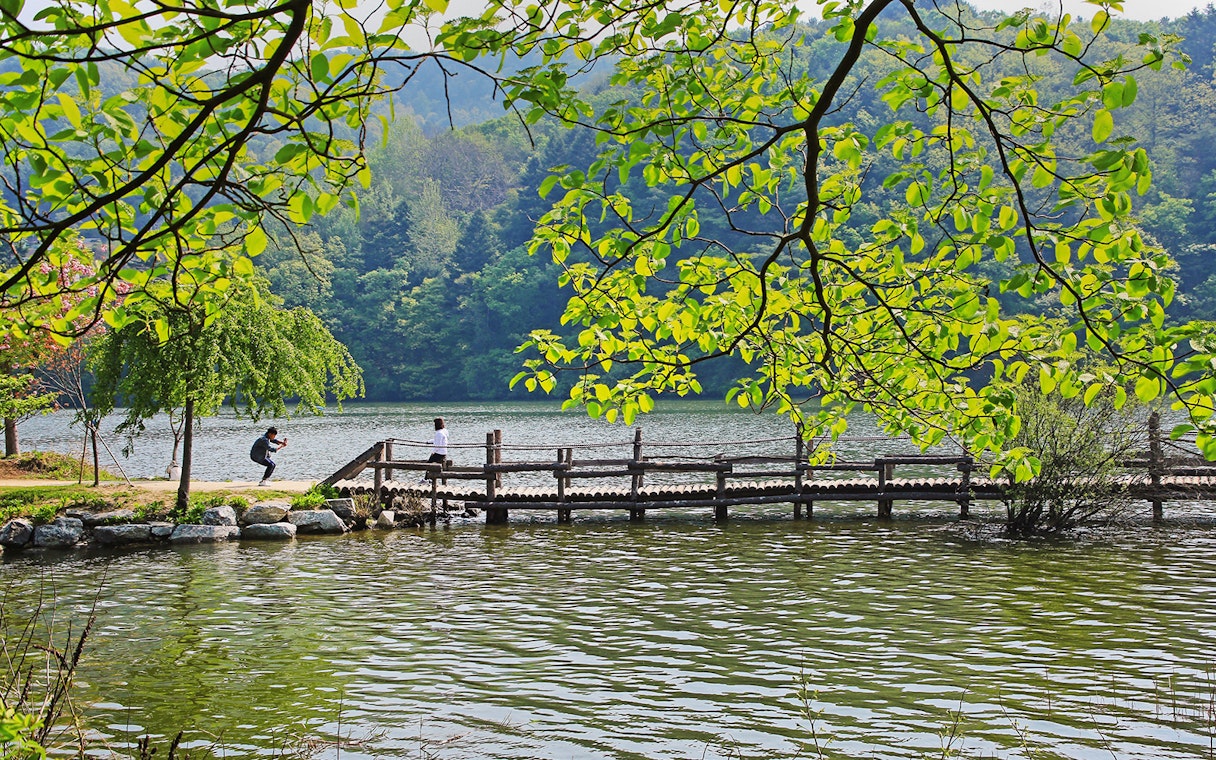 Tourist taking photo near waterbody on Nami Island bridge, South Korea.