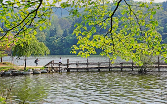 Tourist taking photo near waterbody on Nami Island bridge, South Korea.