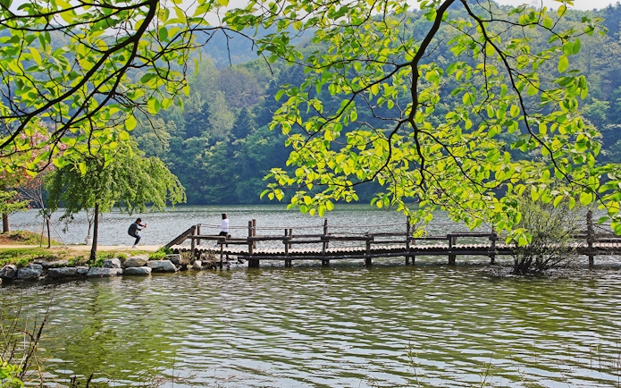 Tourist taking photo near waterbody on Nami Island bridge, South Korea.