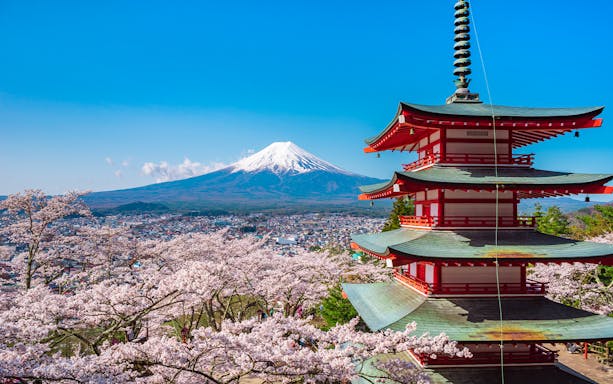 Chureito Pagoda with Mount Fuji and cherry blossoms in Japan.