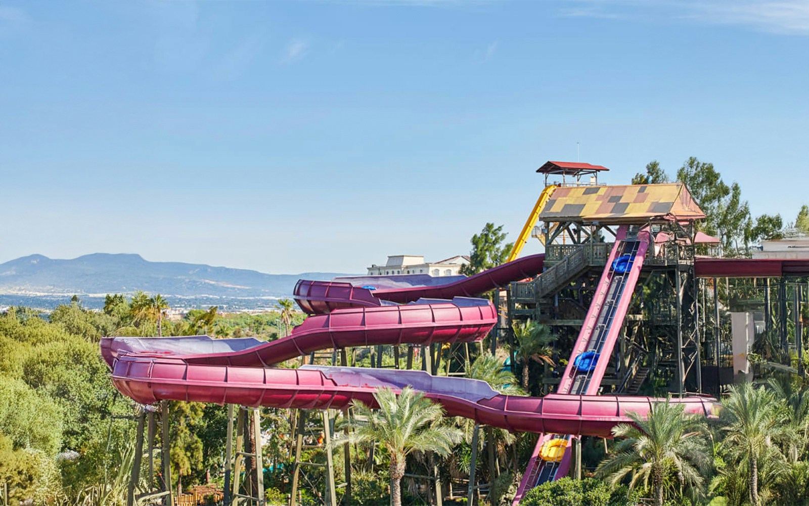 El Torrente pink maroon coloured water slide