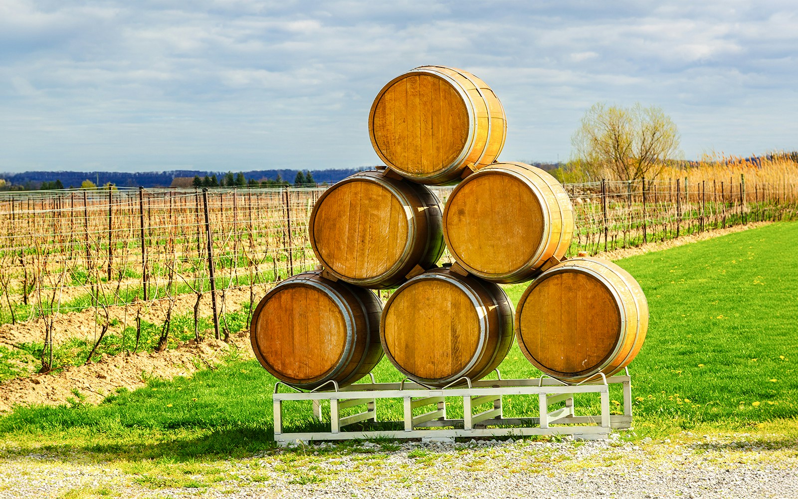 Niagara Falls Wine Tours