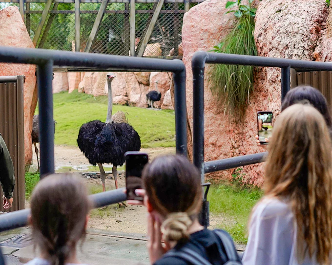 Behind Closed Doors at Bali Zoo