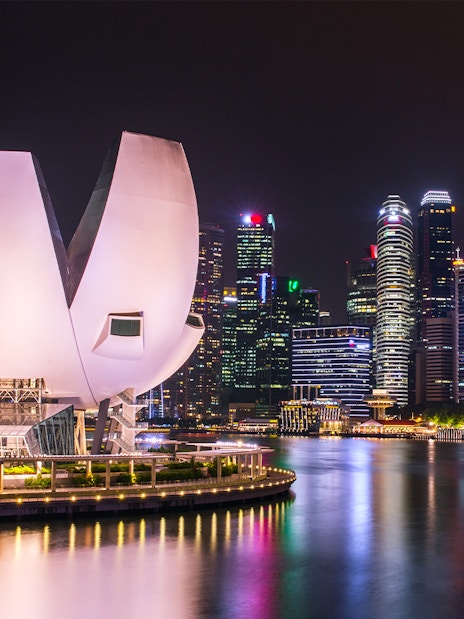 ArtScience Museum in Singapore with city skyline at night.