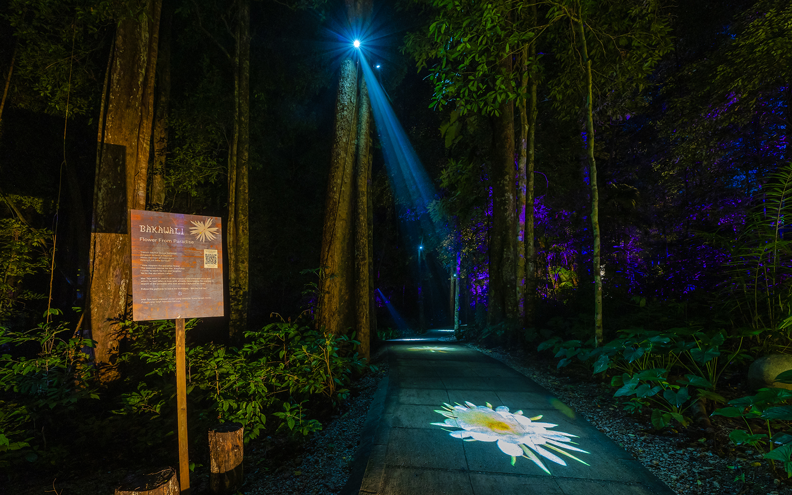 Forest path illuminated by projection mapping of a flower, part of a multi-sensory journey.