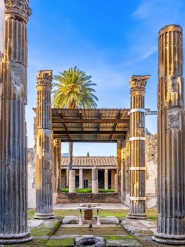 Ancient ruins with columns and palm tree in Pompeii, Italy, part of Sorrento to Pompeii tours.