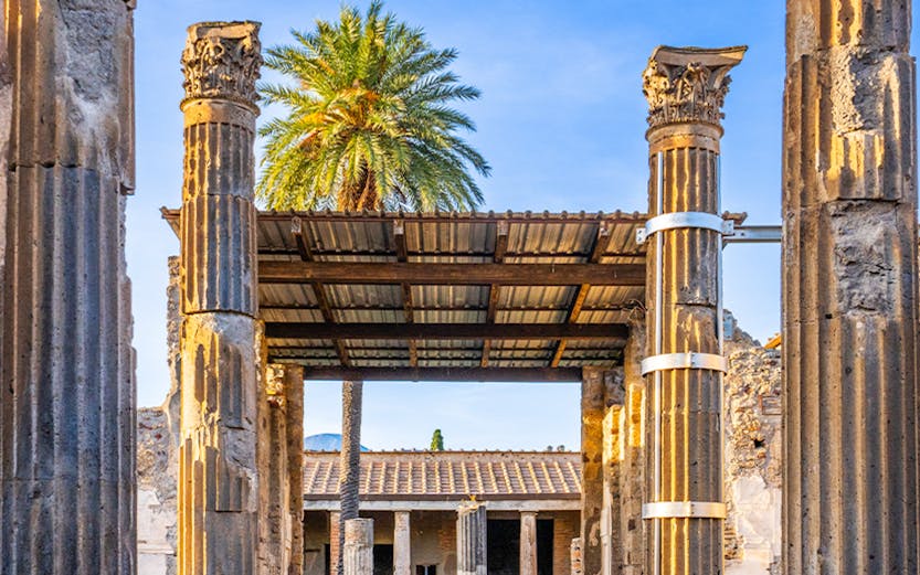 Ancient ruins with columns and palm tree in Pompeii, Italy, part of Sorrento to Pompeii tours.