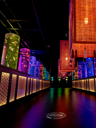 Colorful illuminated aquarium tanks in a dark room at Art Aquarium Museum, Tokyo.