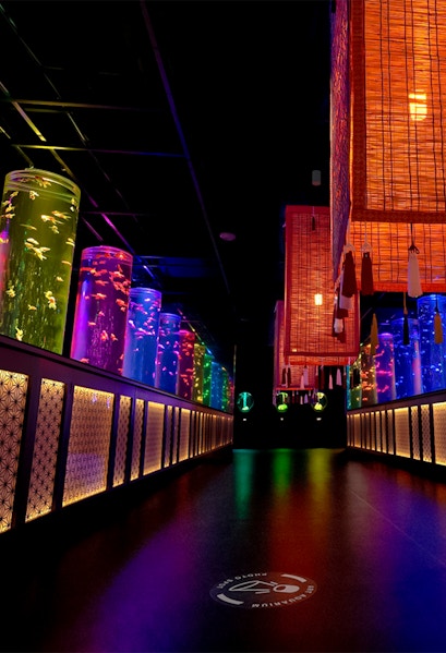 Colorful illuminated aquarium tanks in a dark room at Art Aquarium Museum, Tokyo.
