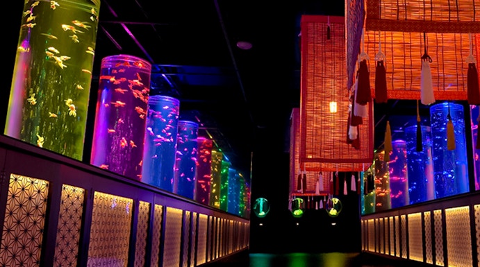 Colorful illuminated aquarium tanks in a dark room at Art Aquarium Museum, Tokyo.