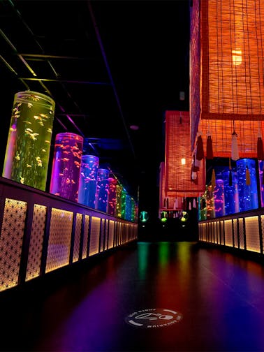 Art Aquarium Museum