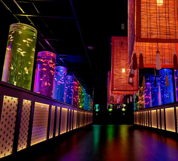 Art Aquarium Museum