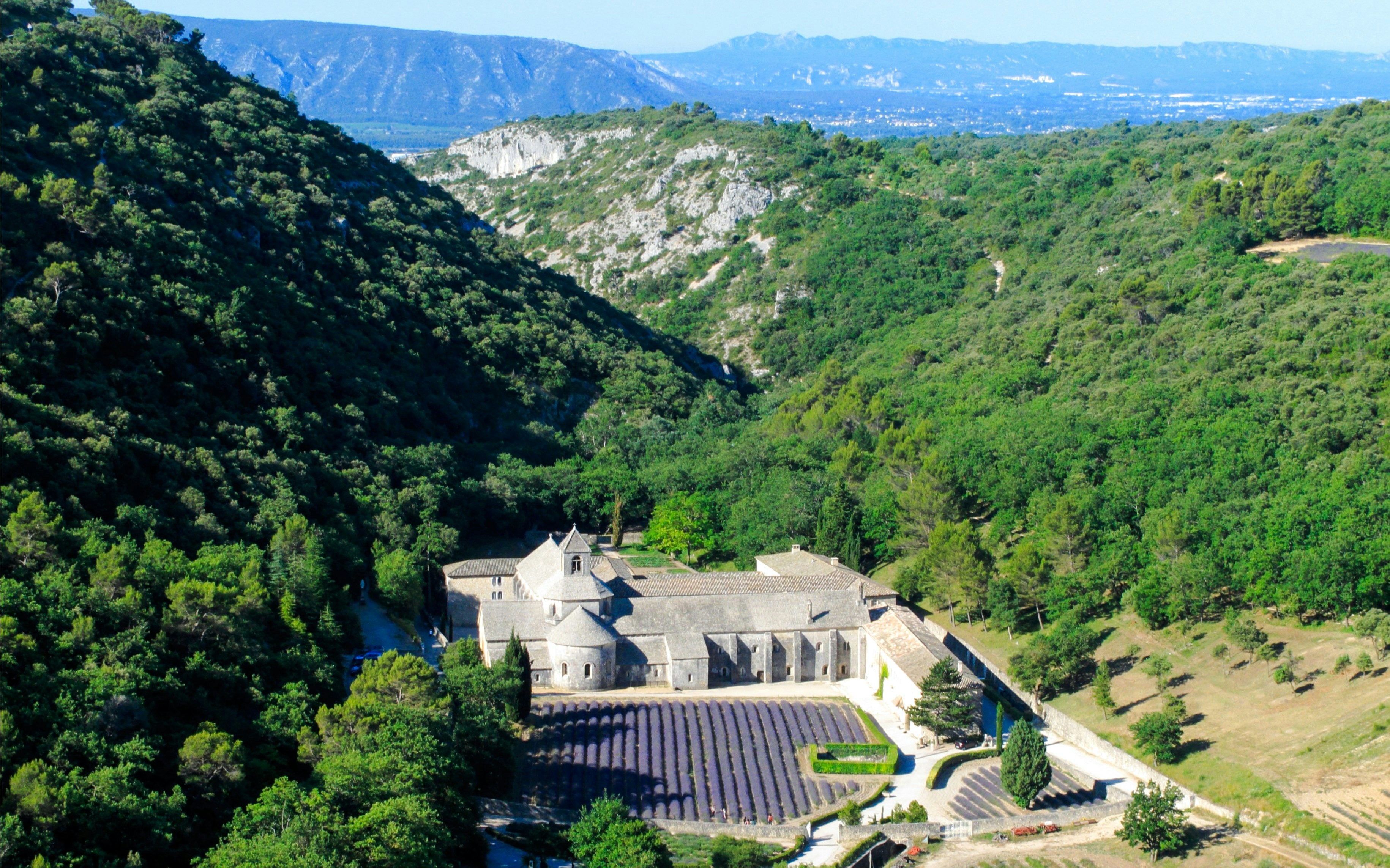 Sénanque Abbey surrounded by lavender fields and lush hills in Provence, France.