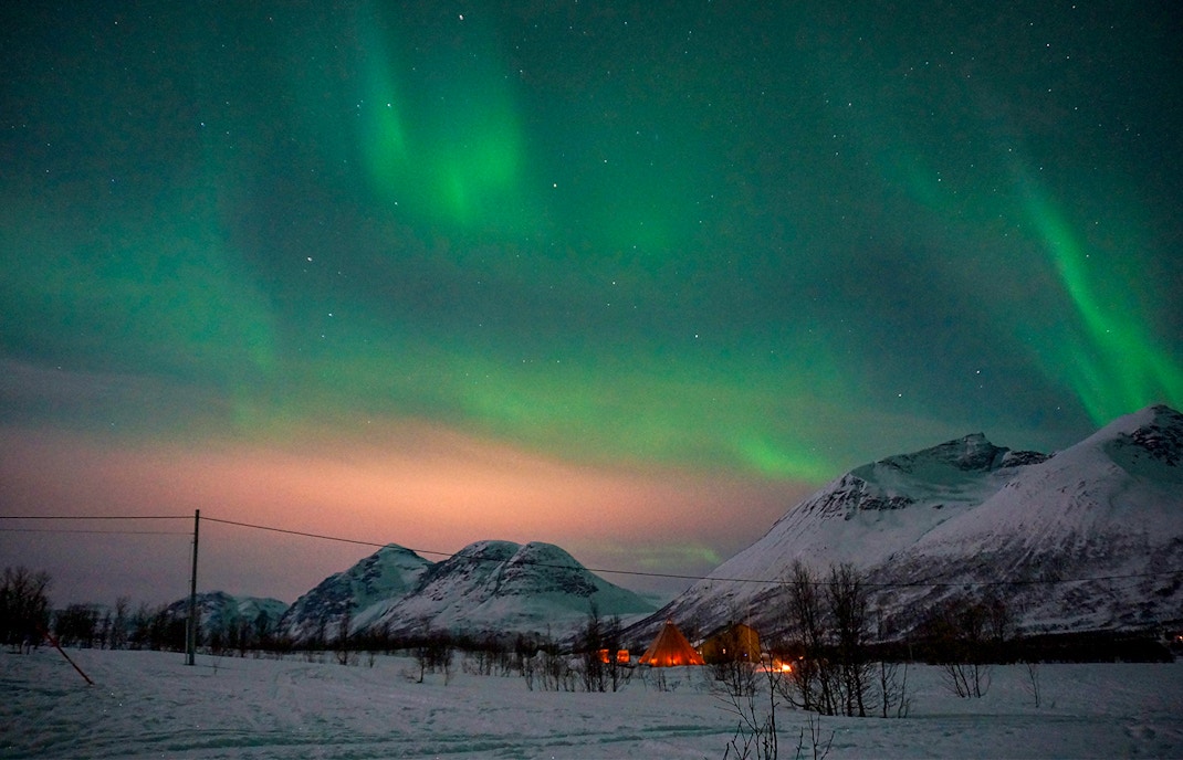Tourists enjoying a reindeer sledding adventure under the mesmerizing Northern Lights in Tromso