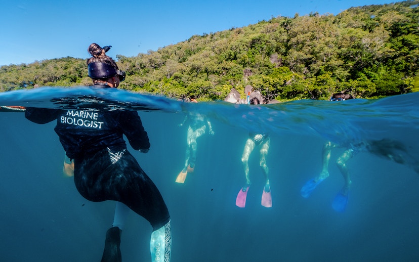 Snorkelers exploring coral reefs with a marine biologist at Fitzroy Island.
