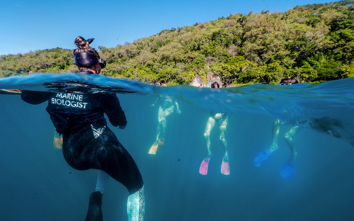 Snorkelers exploring coral reefs with a marine biologist at Fitzroy Island.