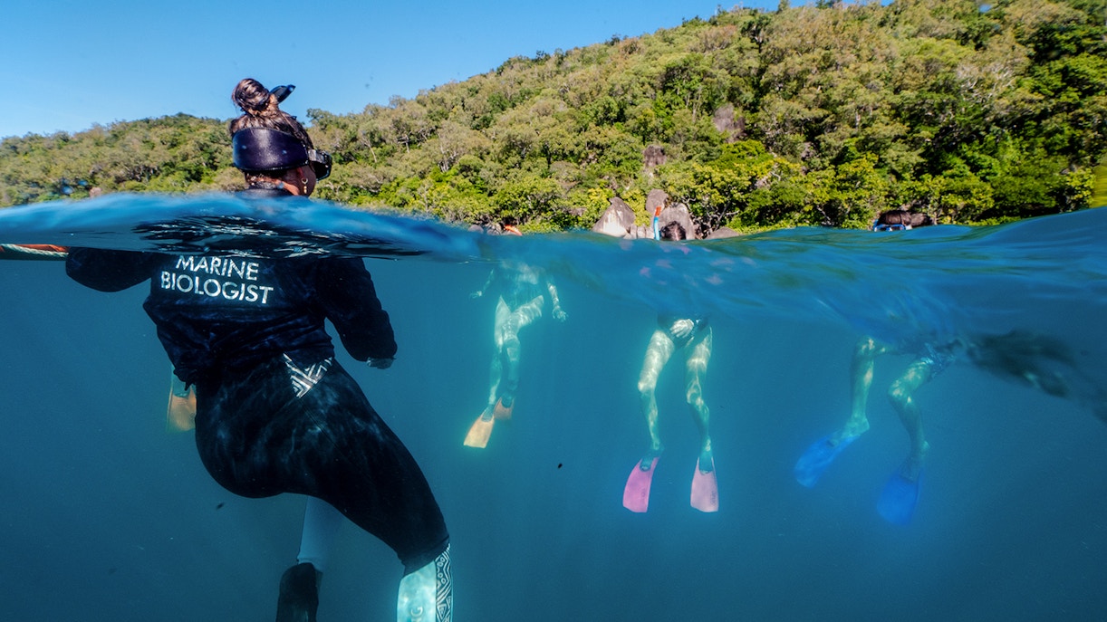 Snorkelers exploring coral reefs with a marine biologist at Fitzroy Island.
