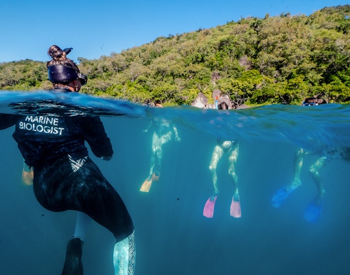 Snorkelers exploring coral reefs with a marine biologist at Fitzroy Island.