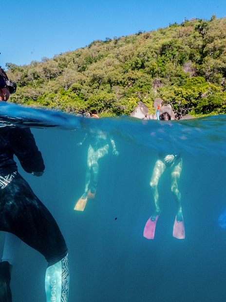 Snorkelers exploring coral reefs with a marine biologist at Fitzroy Island.