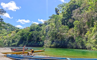 Boats on the riverbank with lush jungle backdrop, Monke Island & Emberá Community, Panama City.