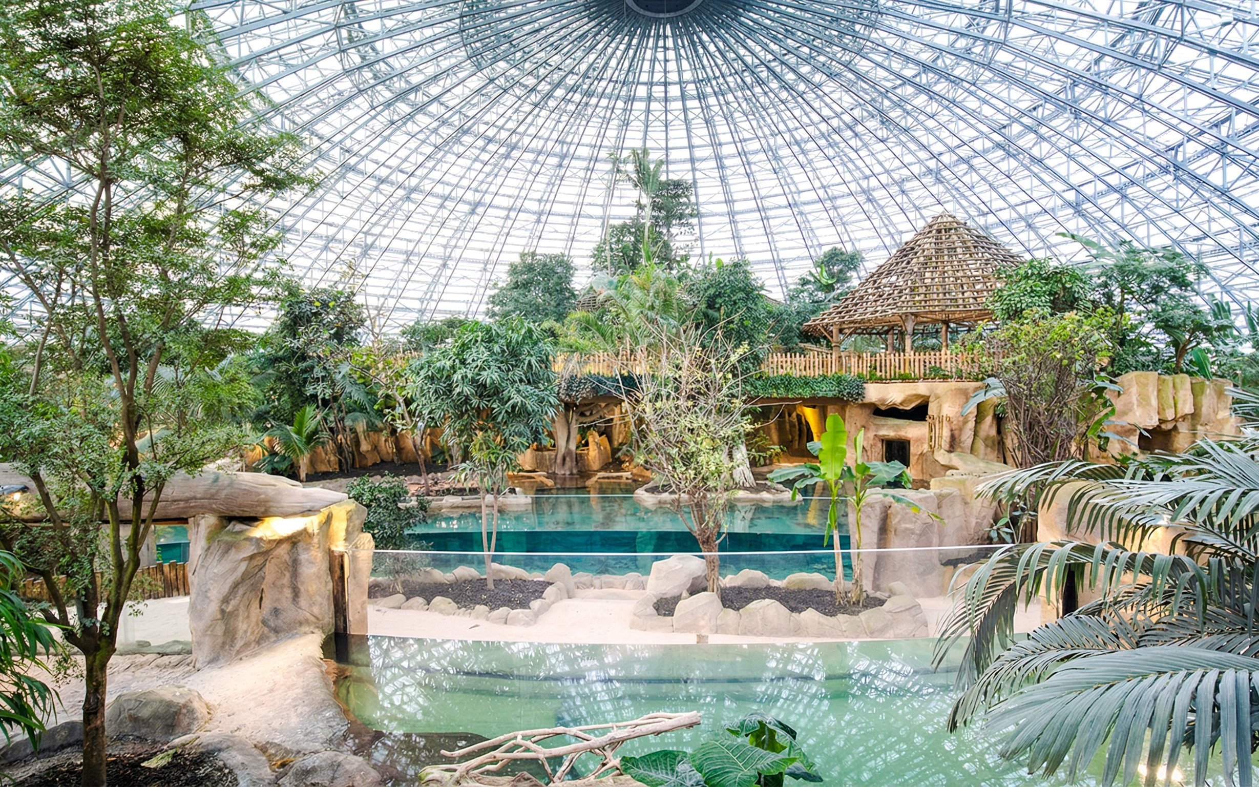 Zooparc de Beauval tropical dome with lush greenery and water features, Loire Valley, France.