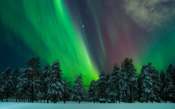 Northern Lights over snowy forest in Levi, Finland.