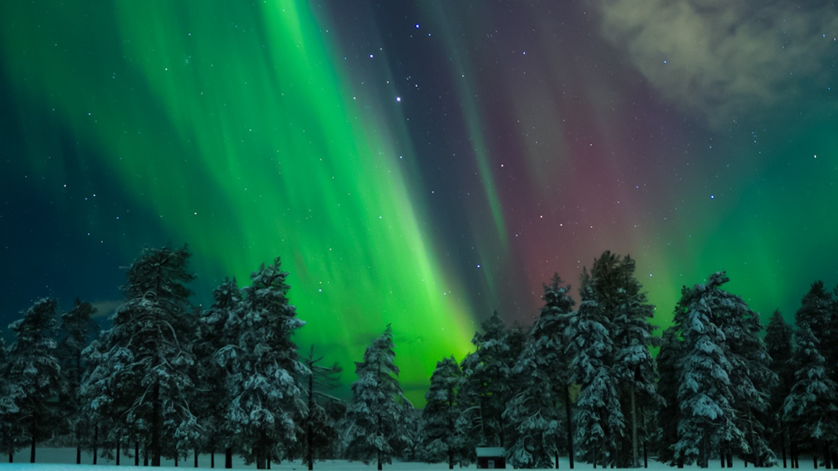 Northern Lights over snowy forest in Levi, Finland.
