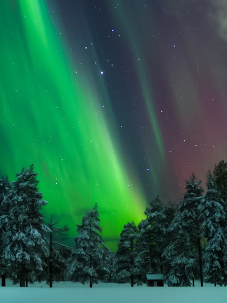 Northern Lights over snowy forest in Levi, Finland.