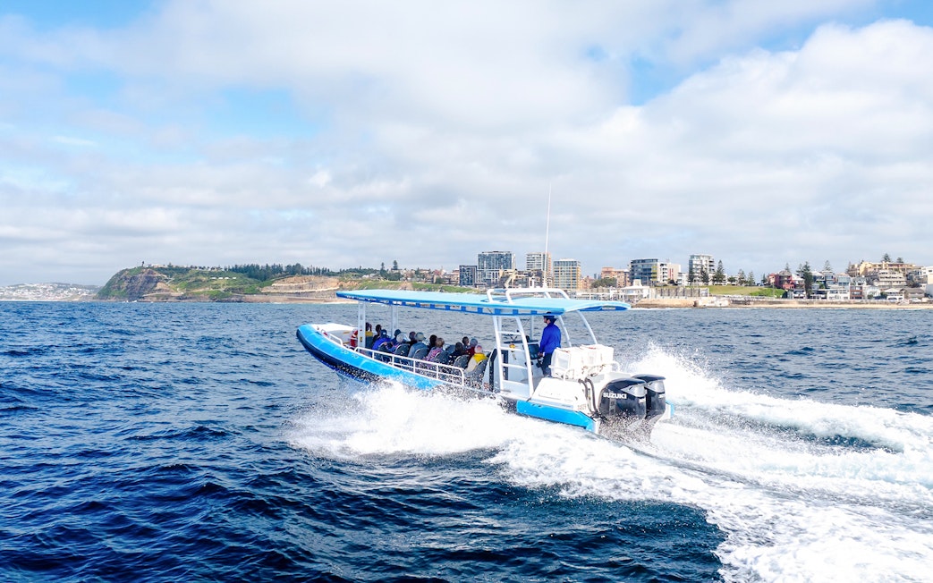 Boat on whale watching tour near Newcastle, Australia coast.