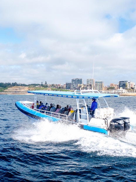 Boat on whale watching tour near Newcastle, Australia coast.