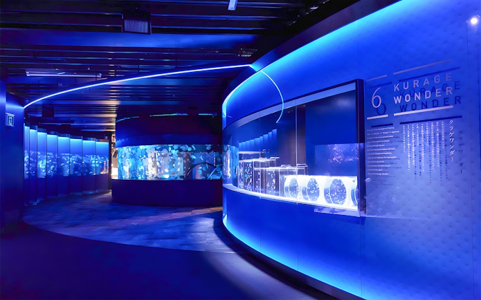 Jellyfish exhibit inside Kyoto Aquarium with illuminated tanks and blue lighting.