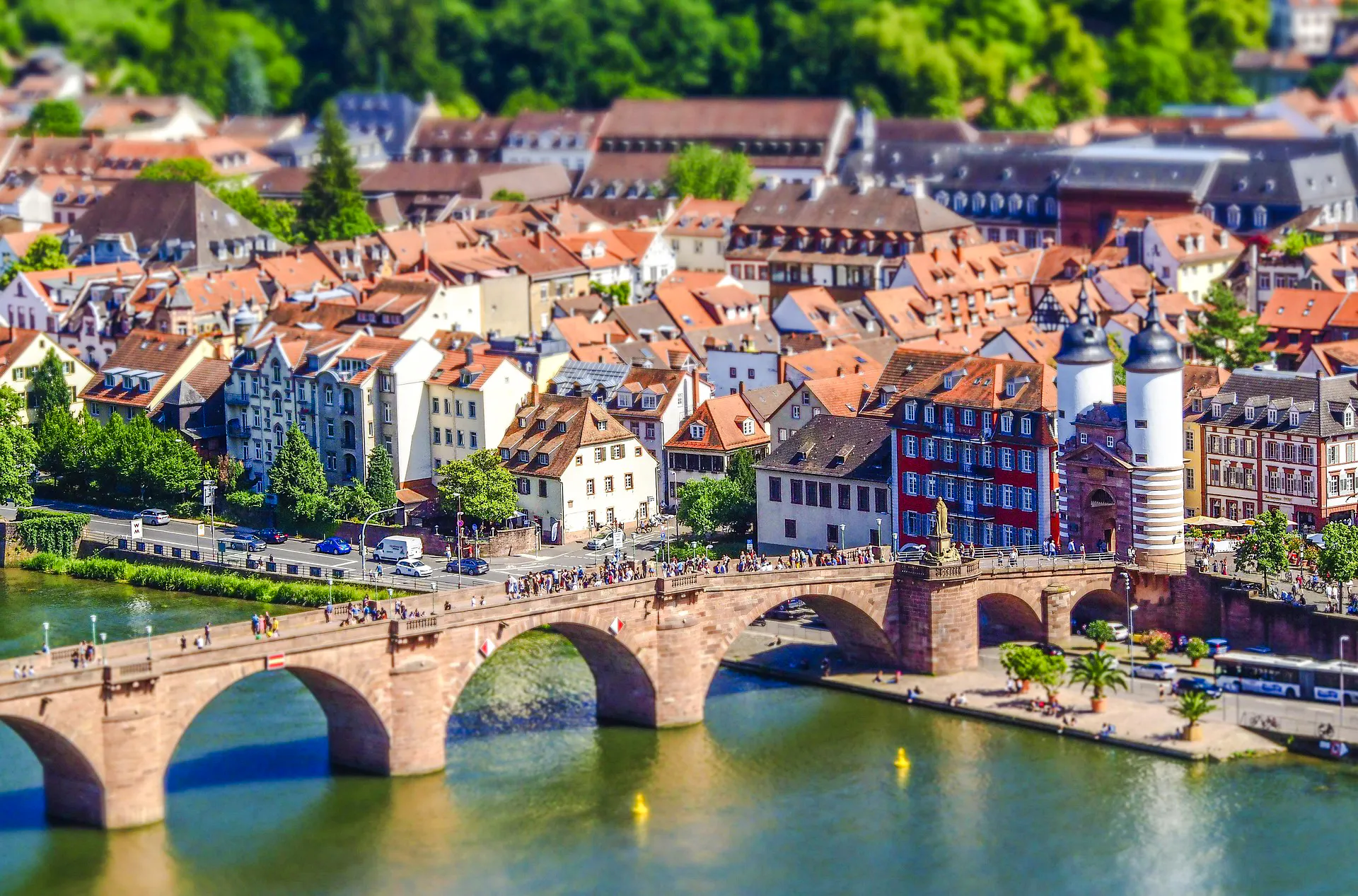 Heidelberg Old Town Private Walking Tour with Castle Entry