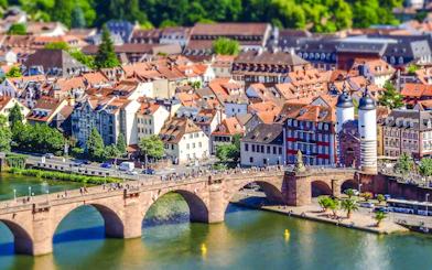 Heidelberg Old Town Private Walking Tour with Castle Entry