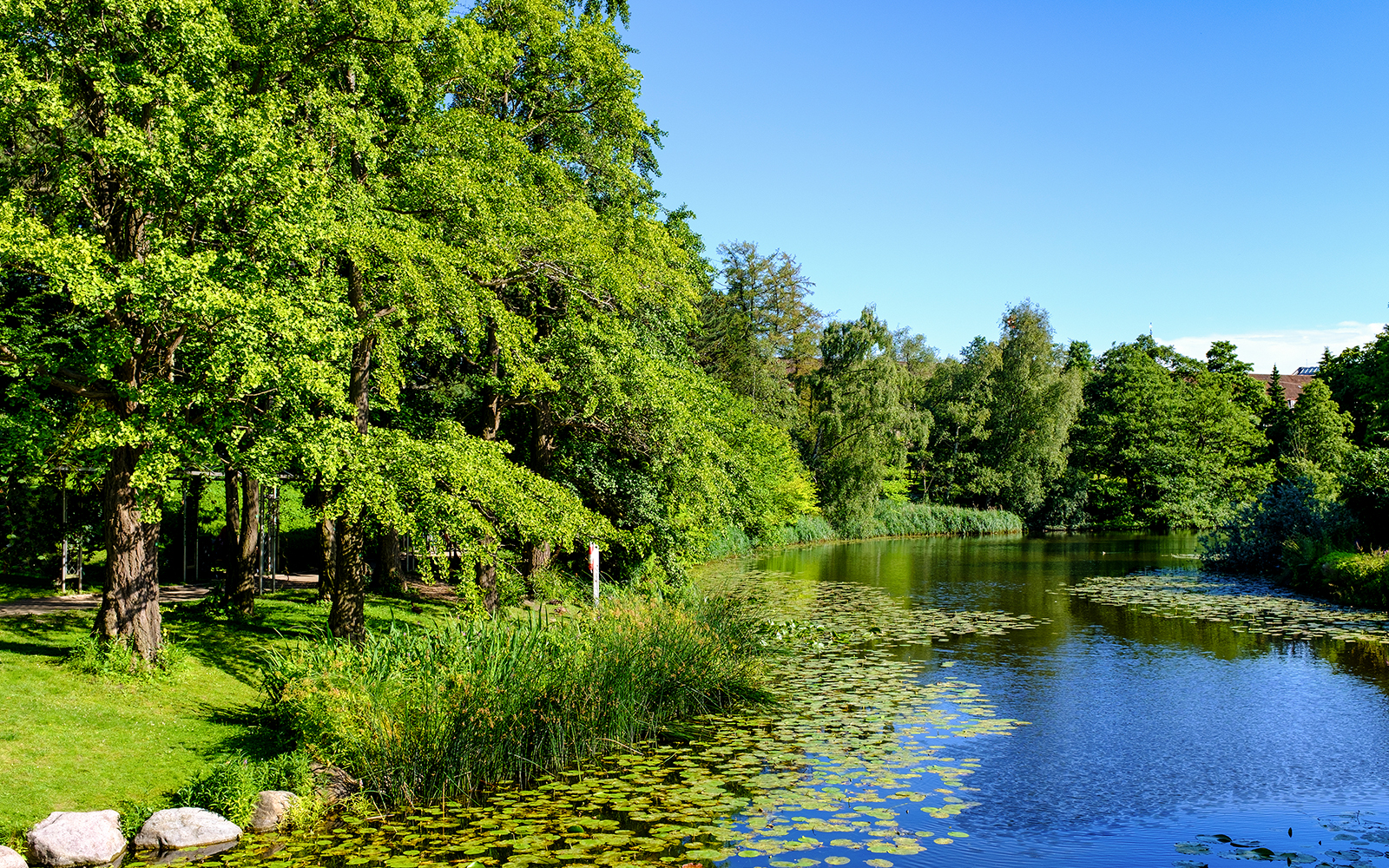 Copenhagen Botanical Garden