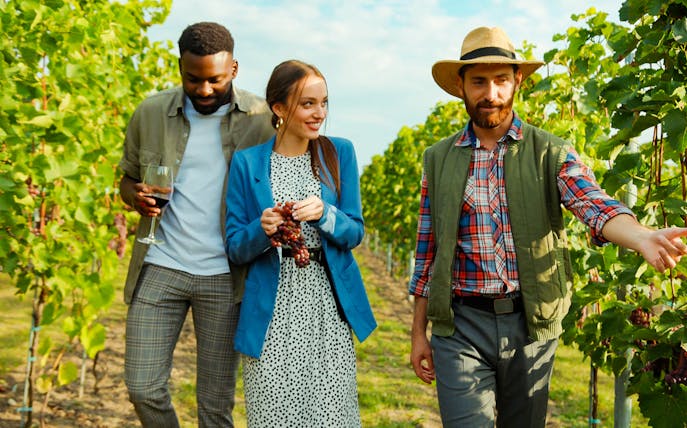 Tour group exploring vineyard during professional wine experience.