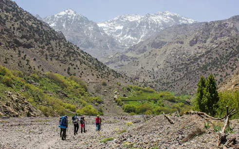 Hikers trekking through the Great Atlas Valley in Morocco with snowy mountains in the background.