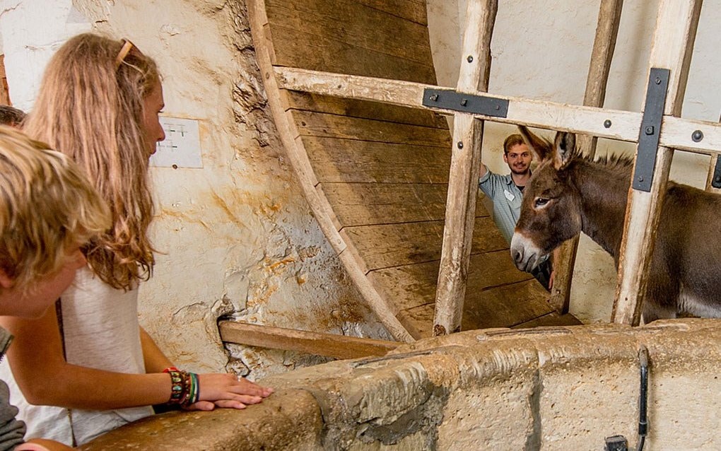 Visitors observing a donkey operating the treadwheel at Carisbrooke Castle.