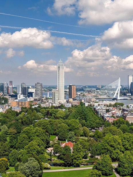 Rotterdam skyline with Erasmus Bridge and modern buildings.