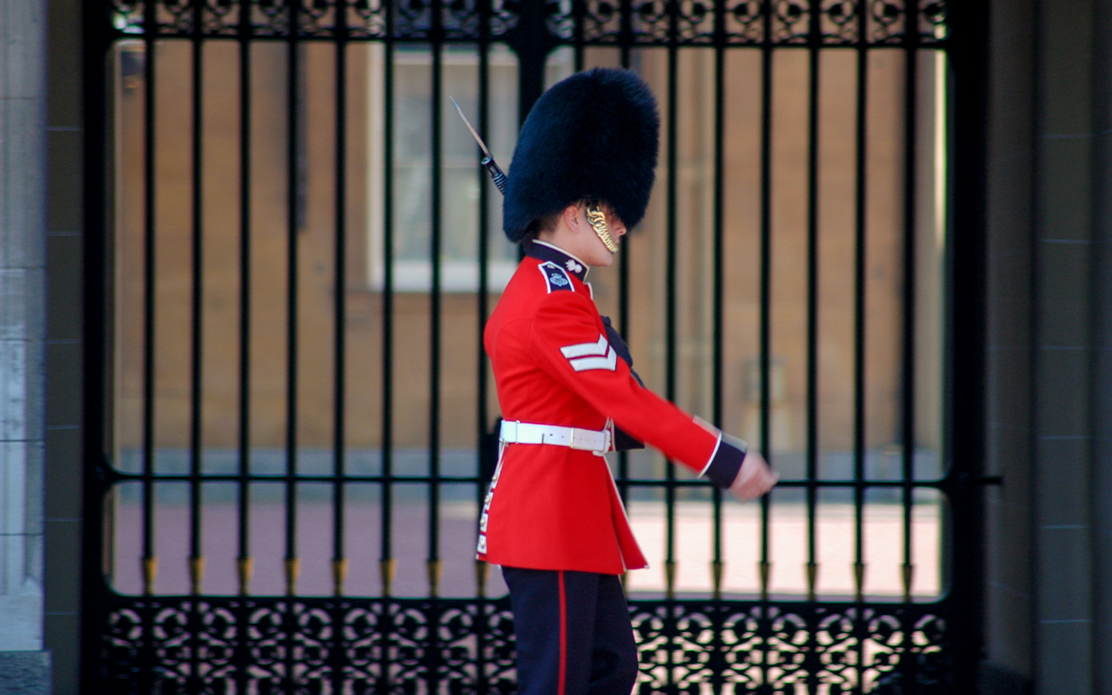 Buckingham Palace Guard Military outfit