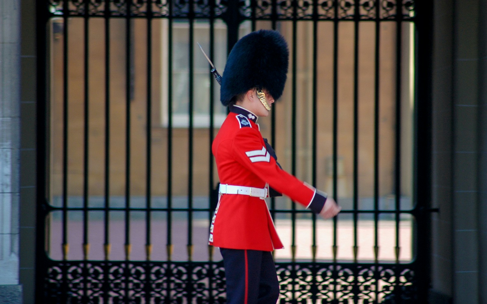 Buckingham Palace guard in red uniform and bearskin hat.