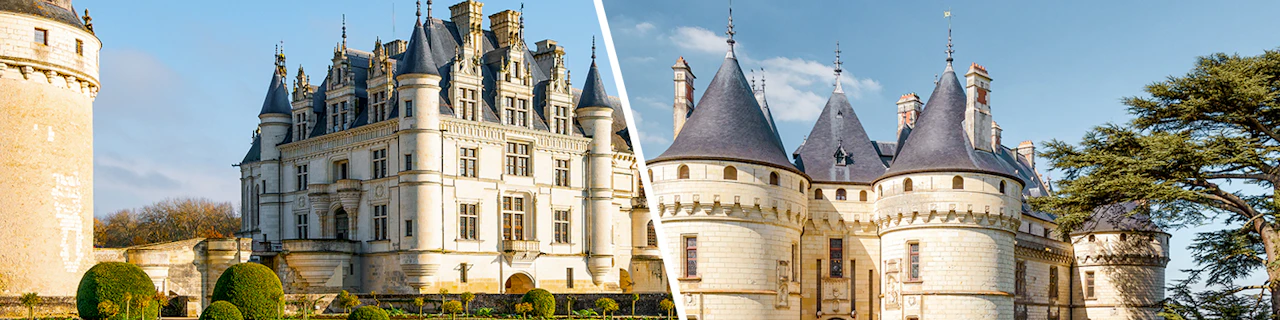combo: Chenonceau + 1 castello della Valle della Loira