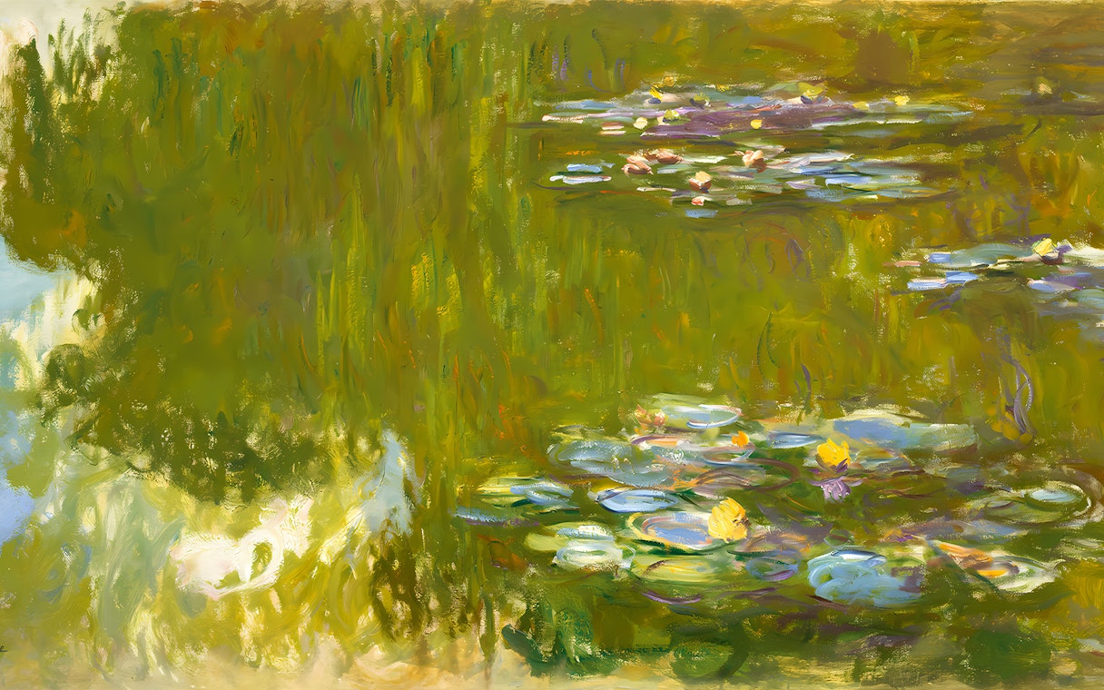 Water lilies on a pond, inspired by Monet's series, at Albertina Museum.