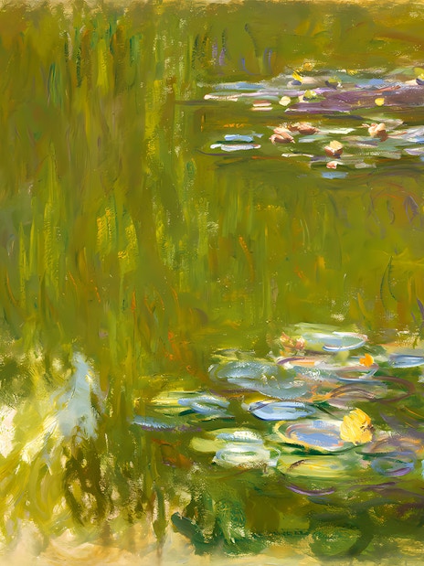 Water lilies on a pond, inspired by Monet's series, at Albertina Museum.