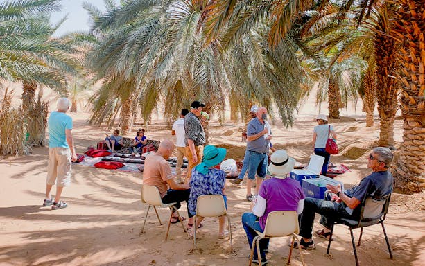 Group of tourists relaxing under palm trees at Liwa Oasis during desert drive from Abu Dhabi.