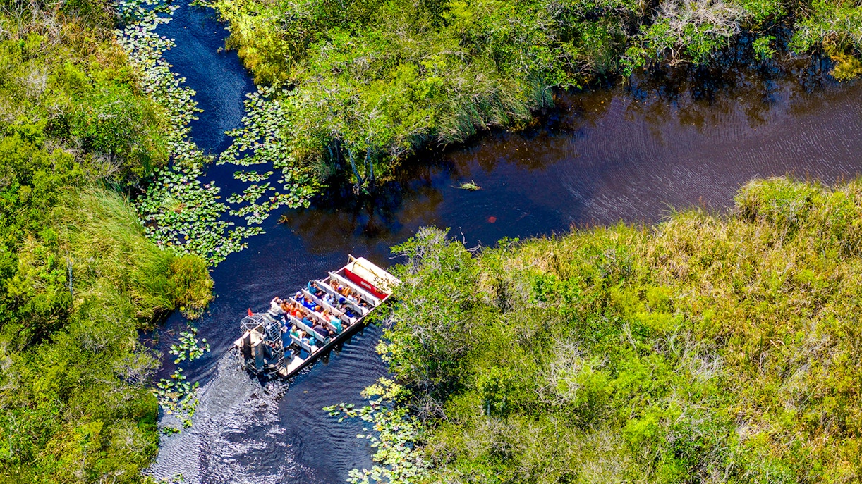 Airboat navigating through lush wetlands with passengers, showcasing an Everglades tour experience.