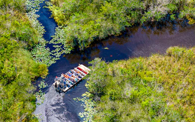 Airboat navigating through lush wetlands with passengers, showcasing an Everglades tour experience.