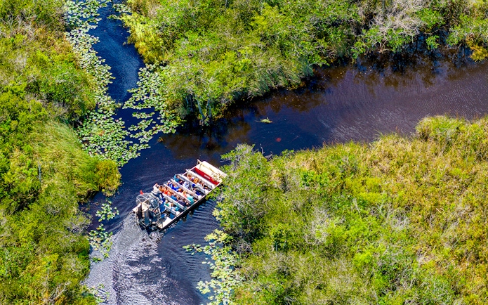 Airboat navigating through lush wetlands with passengers, showcasing an Everglades tour experience.