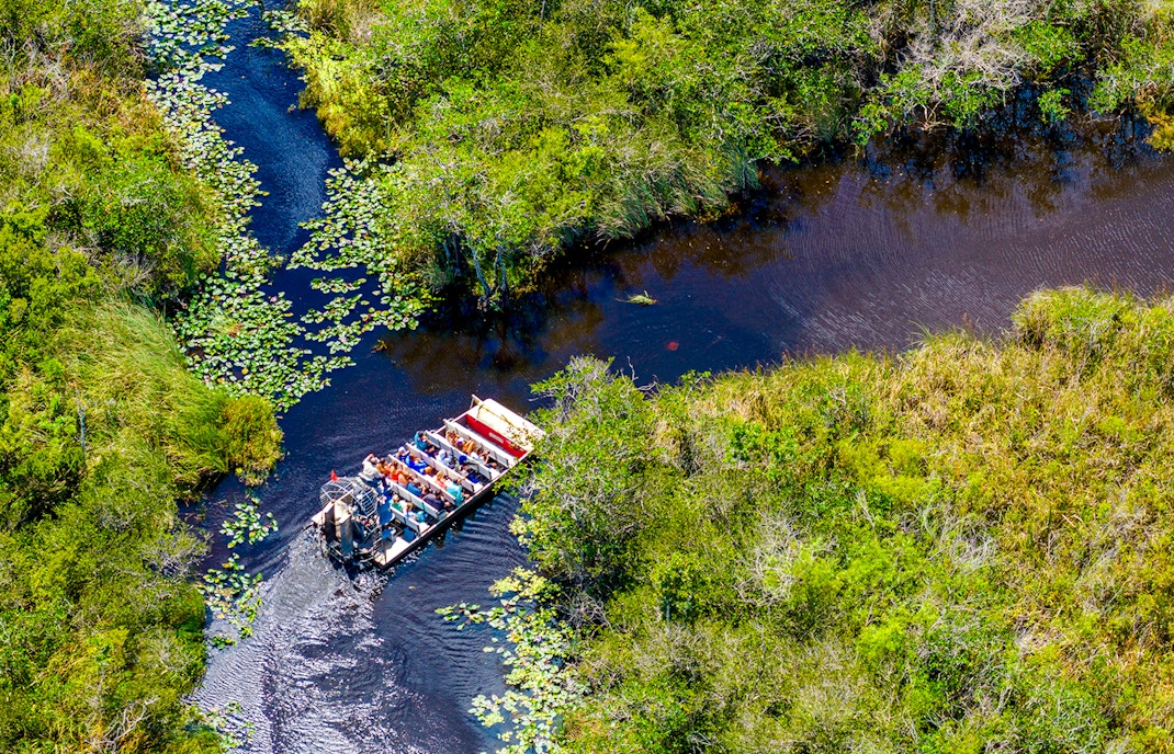 Airboat navigating through lush wetlands with passengers, showcasing an Everglades tour experience.